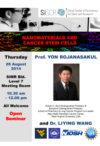 Nanomaterials and cancer stem cells