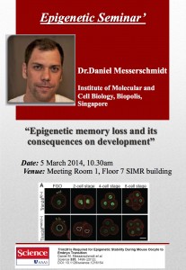 Epigenetic memory loss and its consequences on development